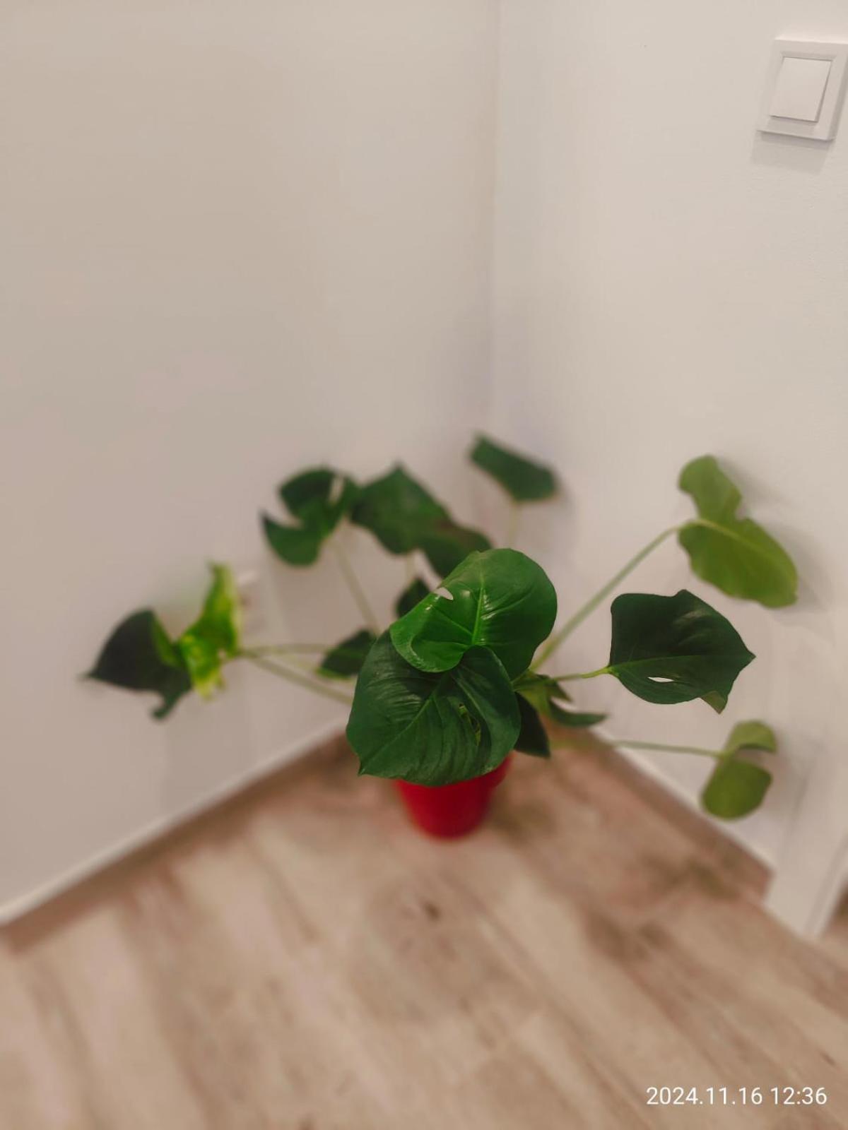 Apartament Seville In Alameda De Hercules المظهر الخارجي الصورة